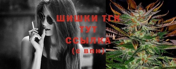 прущие грибы Абдулино