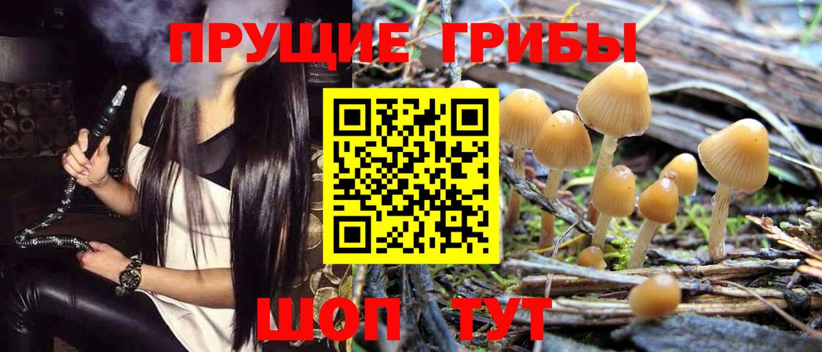 Галлюциногенные грибы мухоморы Шумерля